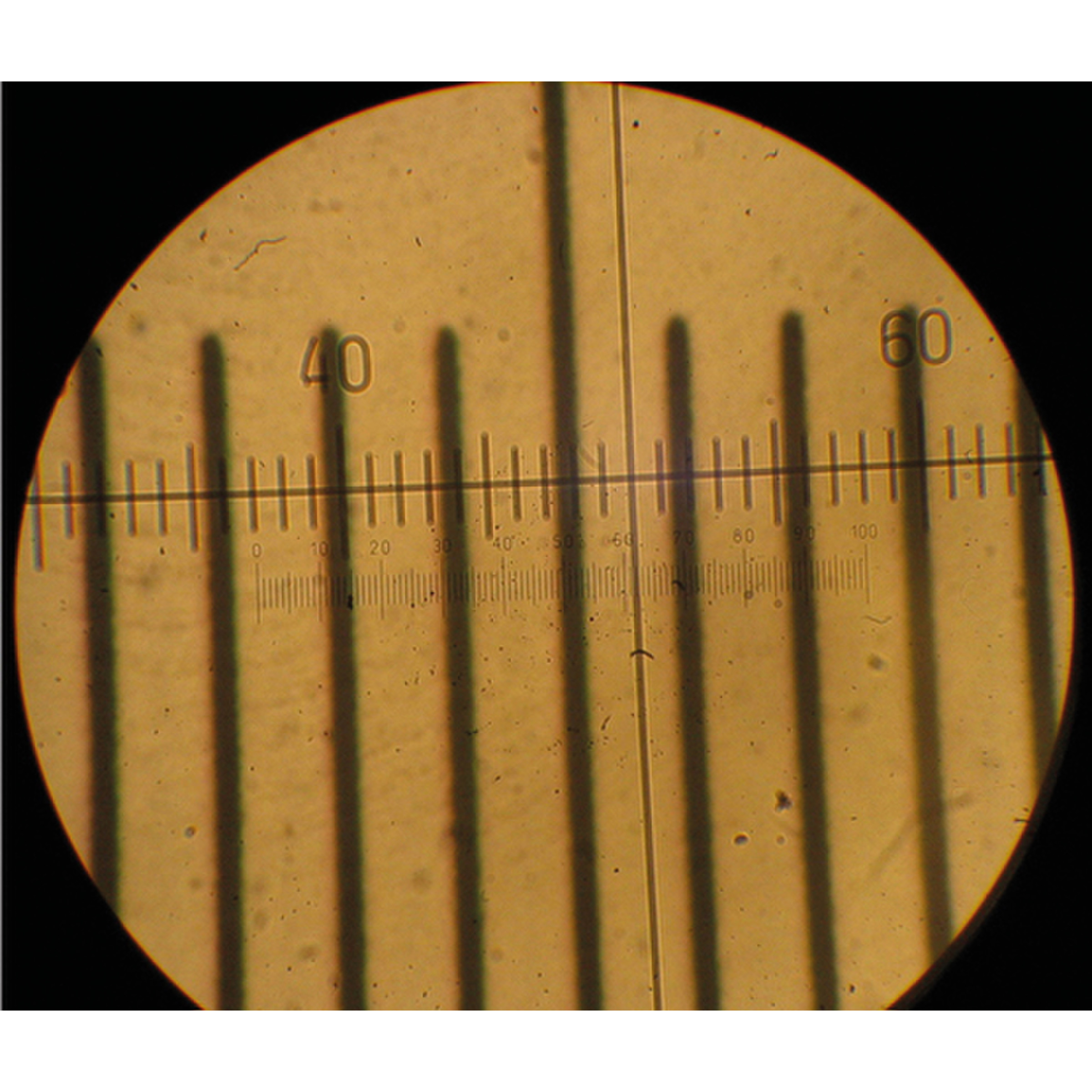 Microscope Objectif Micromètre étalonnage Lame Verre Micromètre De Scène  DIV